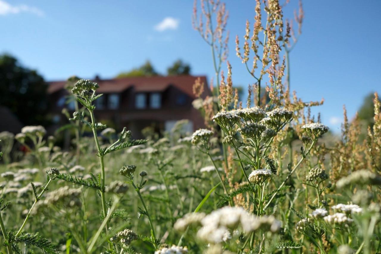 Ferienwohnung Mohnblume Pulzig Eksteriør billede